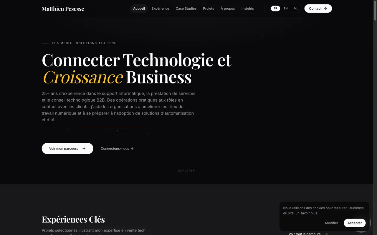 Screenshot of Matthieu Pesesse website